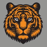 BraveTiger