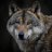 BlueWolf